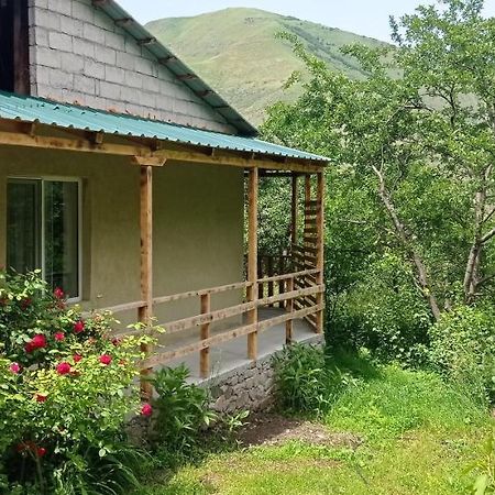 Mesxta Otel Nakalakevi Dış mekan fotoğraf