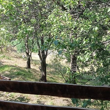 Mesxta Otel Nakalakevi Dış mekan fotoğraf