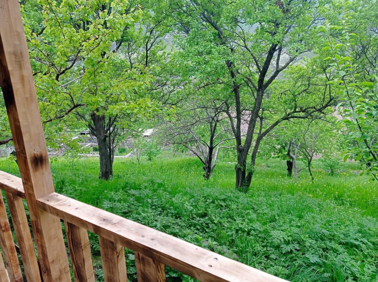 Mesxta Otel Nakalakevi Dış mekan fotoğraf