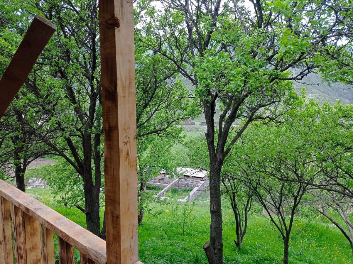 Mesxta Otel Nakalakevi Dış mekan fotoğraf