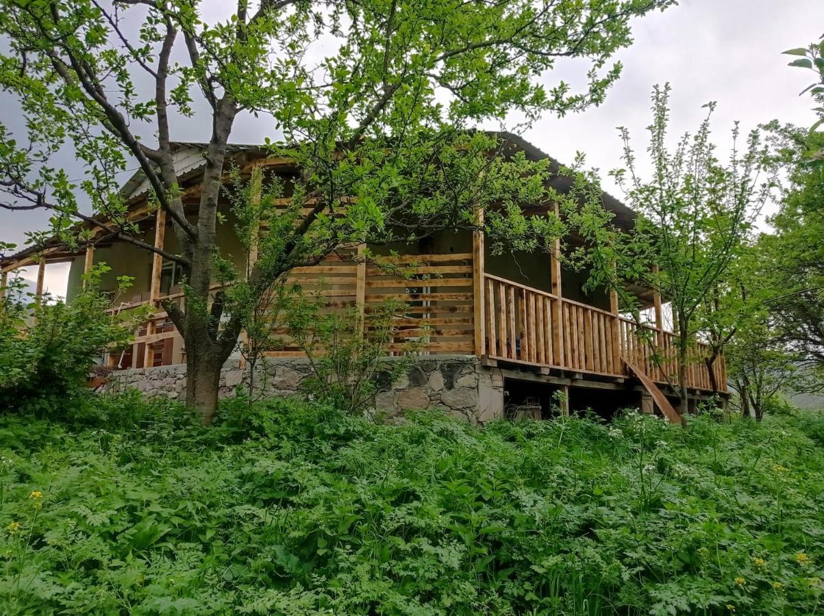 Mesxta Otel Nakalakevi Dış mekan fotoğraf