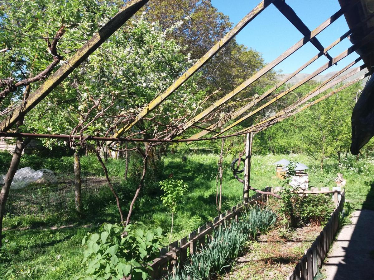 Mesxta Otel Nakalakevi Dış mekan fotoğraf