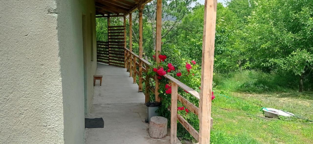 Mesxta Otel Nakalakevi Dış mekan fotoğraf