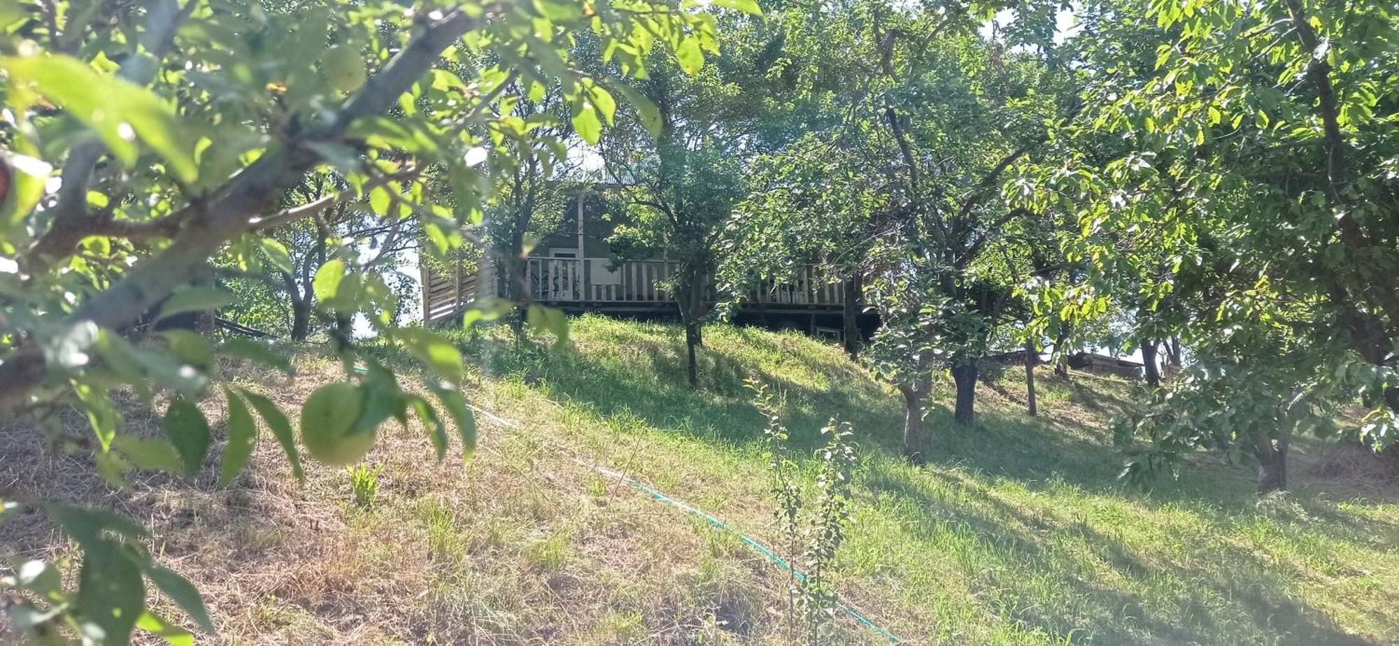 Mesxta Otel Nakalakevi Dış mekan fotoğraf