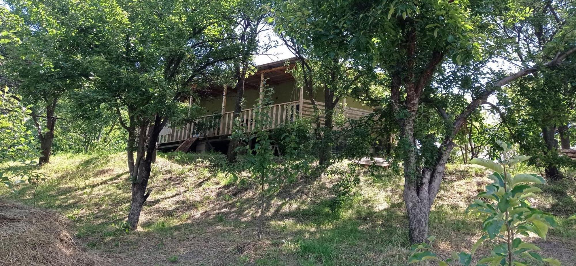 Mesxta Otel Nakalakevi Dış mekan fotoğraf