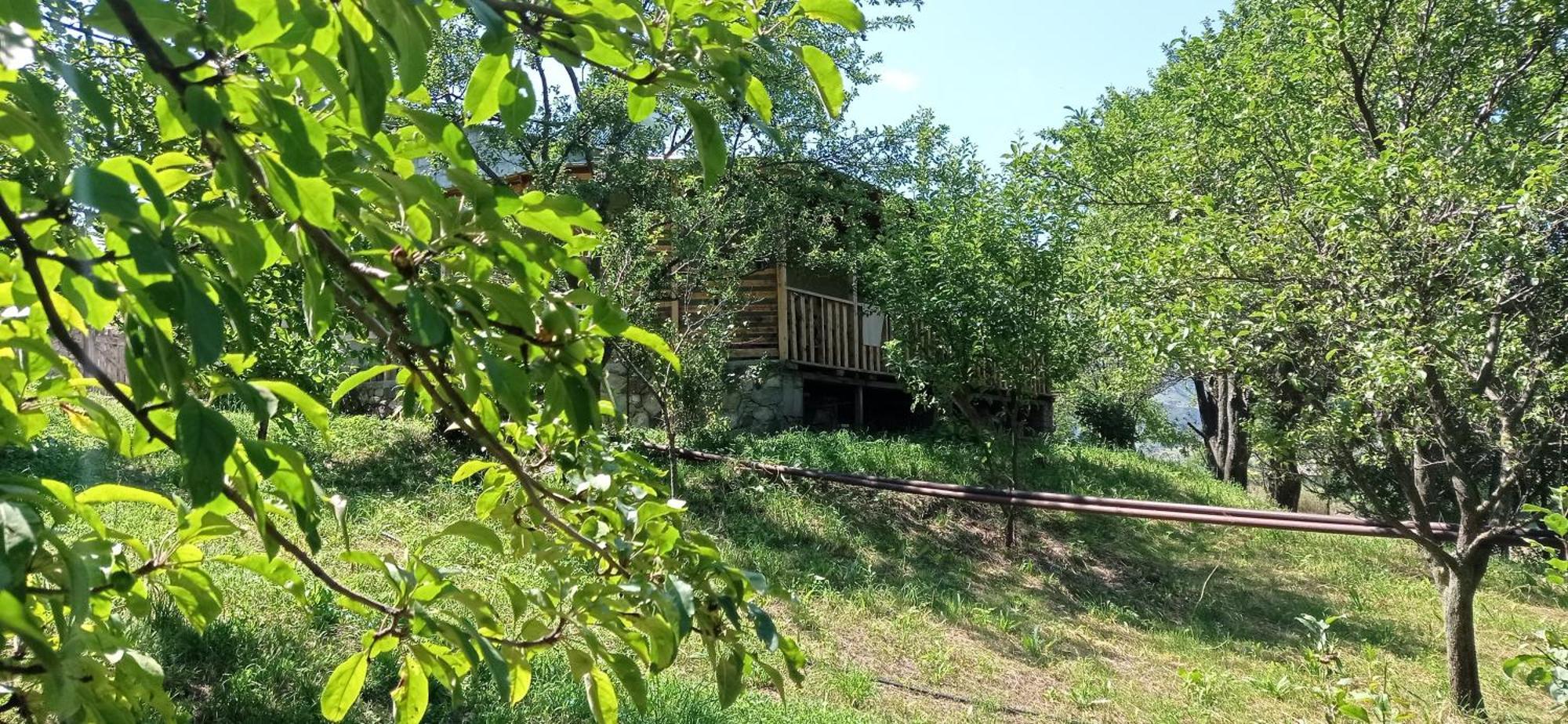 Mesxta Otel Nakalakevi Dış mekan fotoğraf