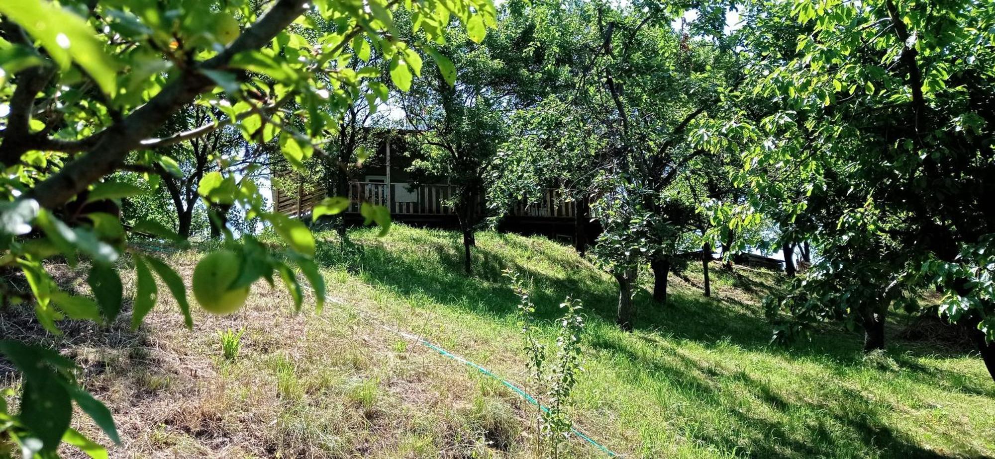 Mesxta Otel Nakalakevi Dış mekan fotoğraf
